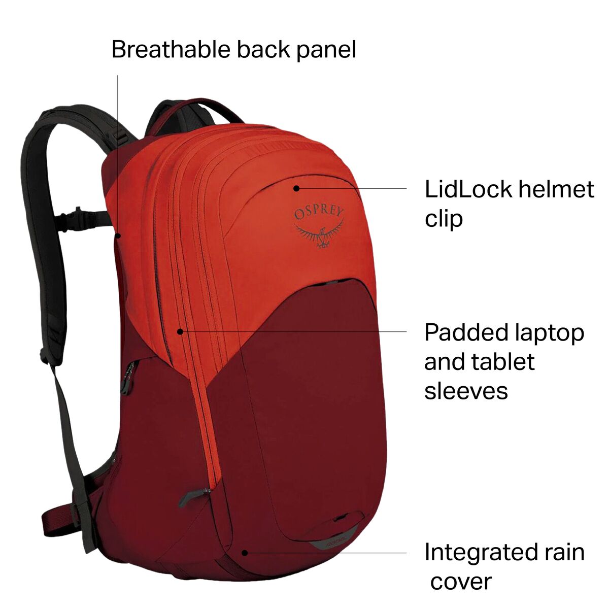 Osprey Packs Radial 34L Backpack - Accessories